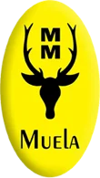 Muela