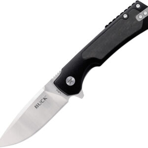 Navaja Buck Stinger Framelock Black 14158