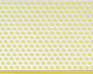 Afilador DMT Duo Sharp Bench Stone W8CXNB